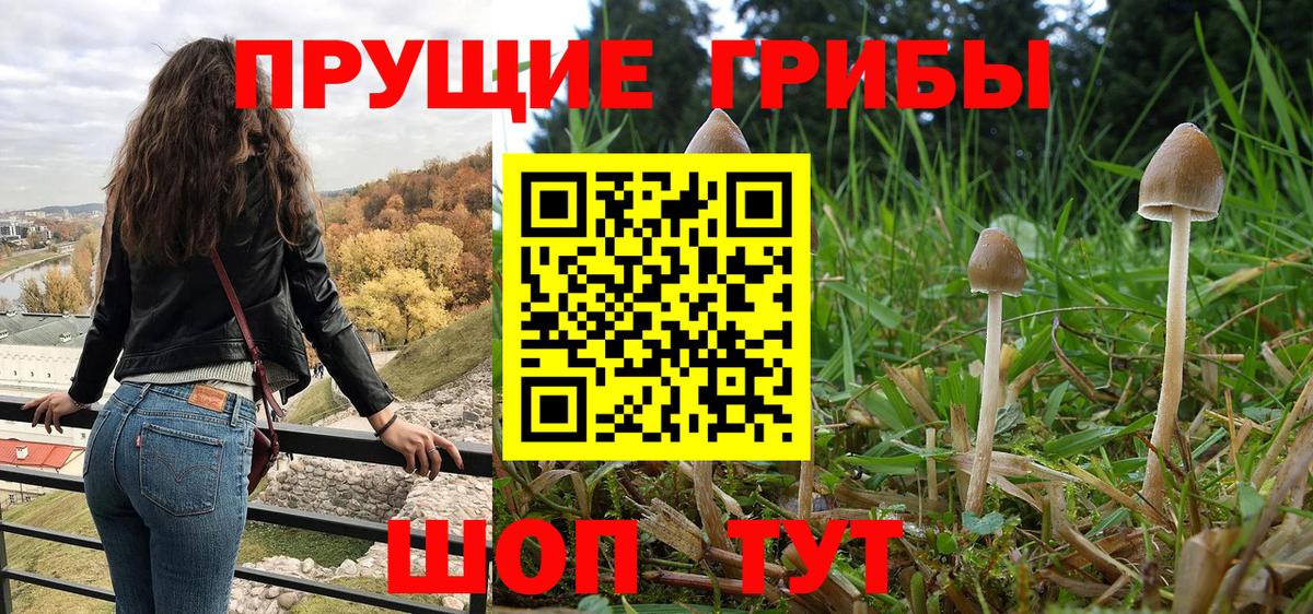 Минусинск  Галлюциногенные грибы Psilocybine cubensis  Вход с VPN  Псилоцибиновые грибы Magic Shrooms 